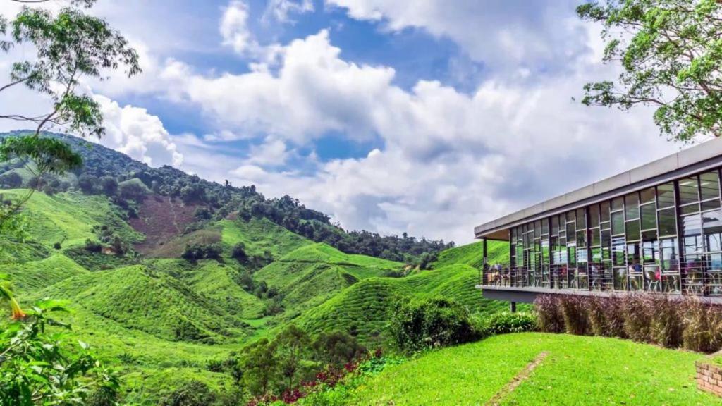 Hills Aranda Nova Hotel Cao nguyên Cameron Ngoại thất bức ảnh