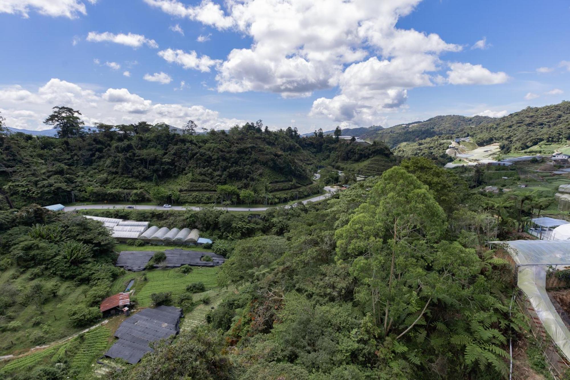 Hills Aranda Nova Hotel Cao nguyên Cameron Ngoại thất bức ảnh